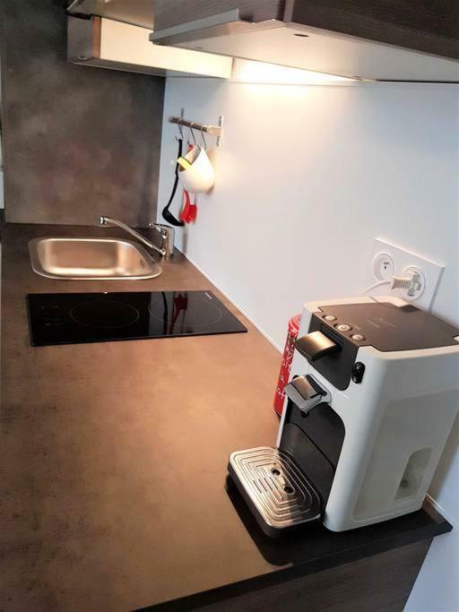 Tres Bel Appartement Centre Vitre Экстерьер фото